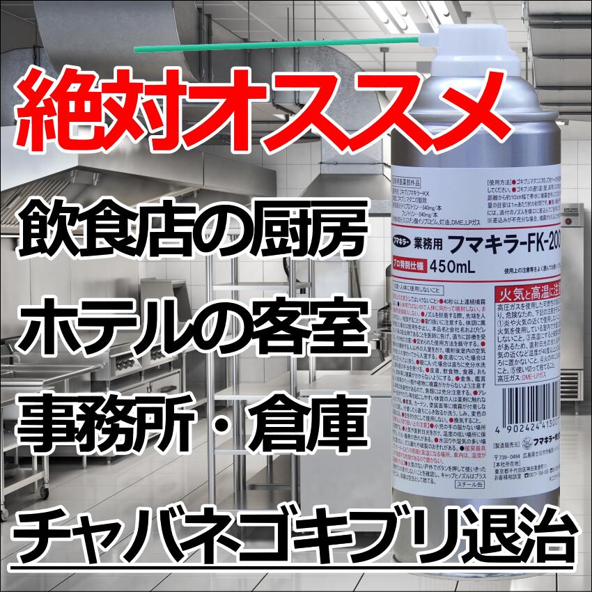 プロ仕様の最強スプレーフマキラーFK−2001 ゴキブリフマキラーKX 殺虫剤 予防駆除 退治対策 2