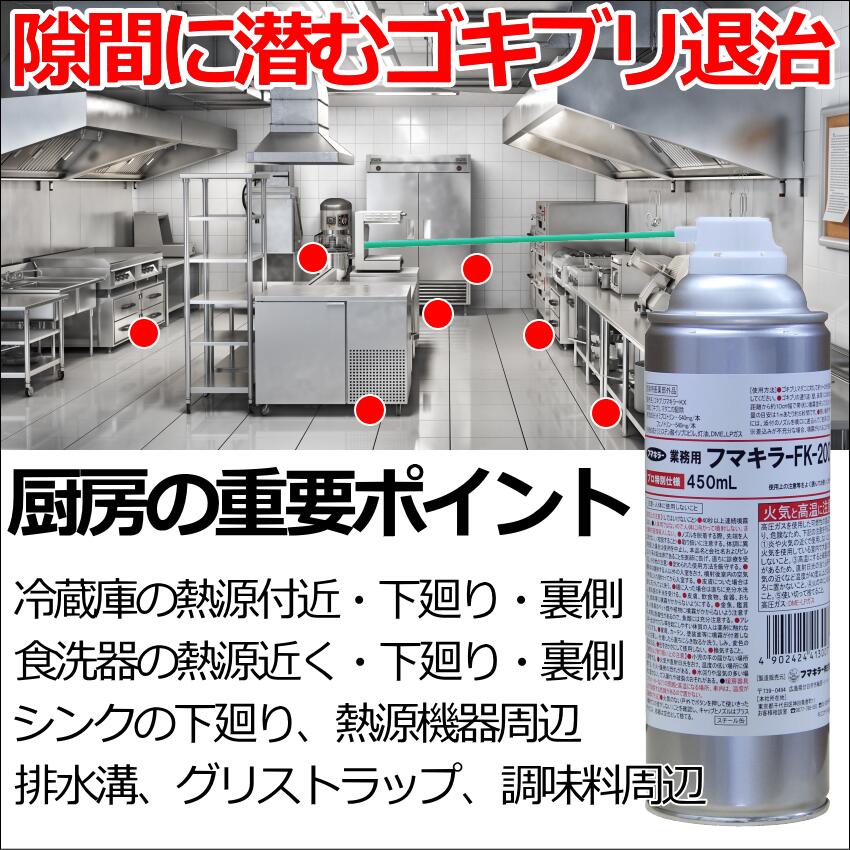 プロ仕様の最強スプレーフマキラーFK−2001 ゴキブリフマキラーKX 殺虫剤 予防駆除 退治対策 3