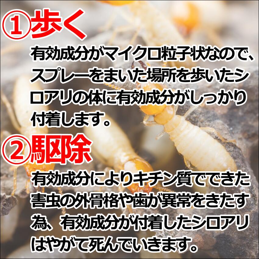 ��������ϥ󥿡����������� ��� ��� �ɽ� ͽ�� �༣ ������ ��ƻ ����� ���� æ���˳��� ���������