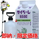 【防除用医薬部外品】《KINCHO》天然除虫菊 水性キンチョール 300mL (殺虫スプレー)