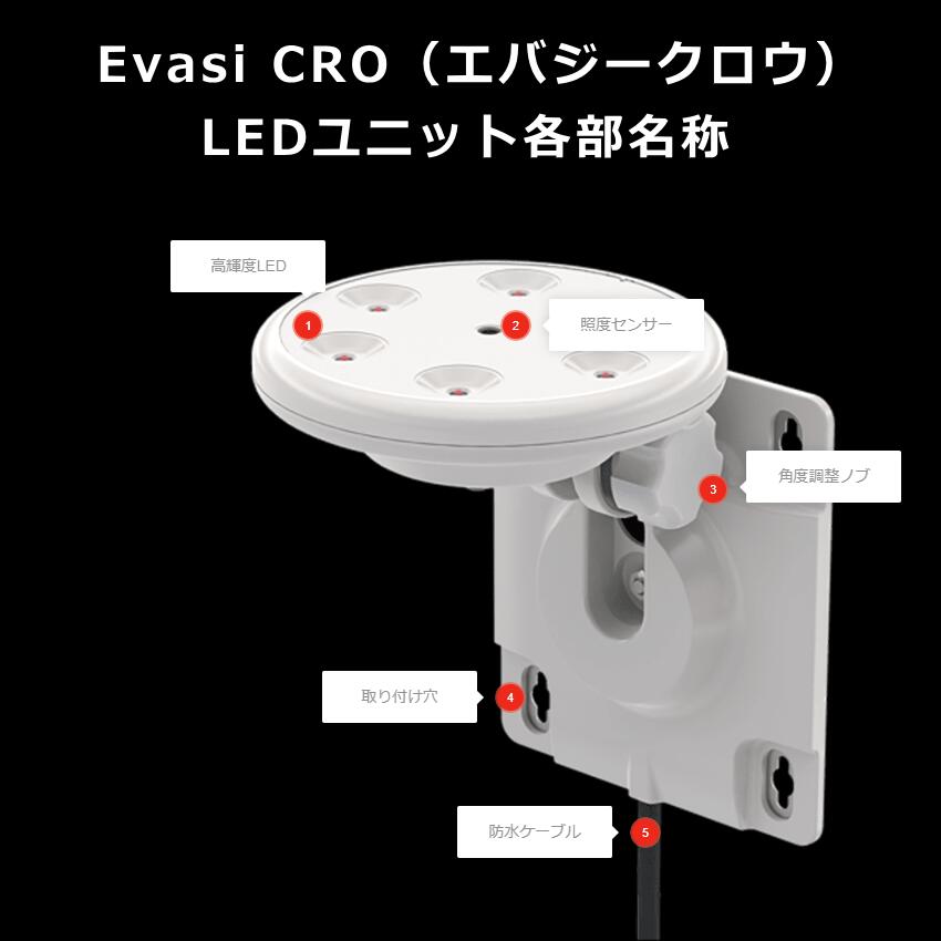 ���饹��������Evasi CRO ���Х��������� �к� ���� ���դ��ʤ�