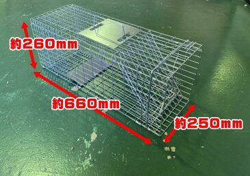 【踏板式動物捕獲器 捕獲カゴM】イタチ 野良ネコ ヌートリア テン ハクビシンなど 中型動物用 踏板式 折り畳み式 動物捕獲カゴM