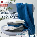 【LINEお友達登録で100円OFFクーポン】 泉州タオル【彩り IRODORI バスタオル 同色2枚組】 薄手/中厚 オーガニックバスタオル 綿100% タオ...