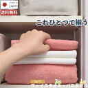 【LINEお友達登録で100円OFFクーポン】泉州タオル 【4枚セット スタートパック お手軽セット】 フェイスタオル 3枚 バスタオル 1枚 オーガニック 綿...