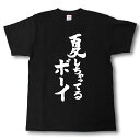 おもしろtシャツ/面白/夏/　筆で書いた文字TシャツオリジナルTシャツ