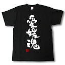 愛媛魂 Tシャツ これぞ県魂(県名JAPAN魂シリーズ)