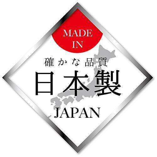 パール金属 ホームレーベル ランチボックス用保冷剤2P(グリーン) D-2326 弁当箱水...
