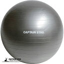 キャプテンスタッグ Vit FIt フィットネスボール Φ65cm シルバーホワイト エクササイズ フィットネス 体幹トレーニング UR-863