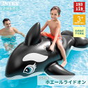 INTEX インテックス フロート 浮き輪 ホエールライドオン 58561 クジラ 浮輪 海 プール 海遊び