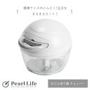 パール金属 みじん切り器 チョッパー にんにく Simplice C-1081