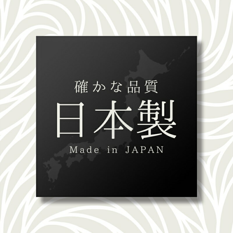 パール金属公式 箸 ケース付 日本製 ネイビー ホームレーベル D-6728 弁当箱水筒 携帯用箸 キッチン収納 整理整頓 省スペース 積み重ね スタッキング