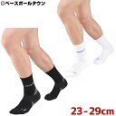 ZAMST ザムスト 機能性ソックス HA-1 レギュラータイプ 3751