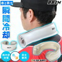 タイプU氷嚢クールネック U型 1個/2個 アイシング 氷のう クールリング アイスクールリング ネッククーラー アイスネックリング 冷感リング 冷却 ひんやり アイスリング ジュニア 子供 キッズ 大人 男性 女性 夏 暑さ 暑い 猛暑 熱中症対策 冷たい 冷やす 首 くび 肩 BBCH
