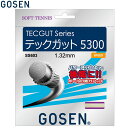 ゴーセン ソフトテニス ガット TECGUT 5300 ナチュラル テニス 軟式 SS603NA