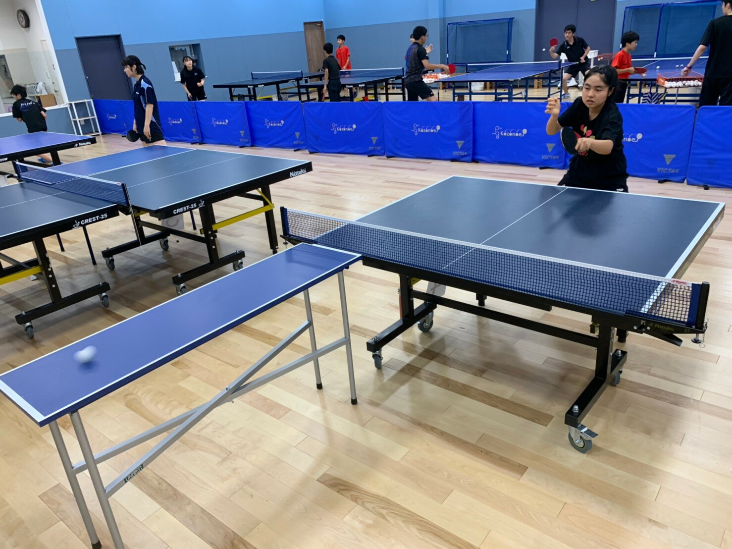 ����˥С������ꥸ�ʥ뾦�ʡ�������ADT8��ȯ��������ʡ����Բġ�