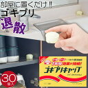 ゴキブリキャップ 30個 ゴキブリ 虫 置くだけ タニサケ 玉ねぎ ホウ酸 国産 日本製 【ラッピング対象外】