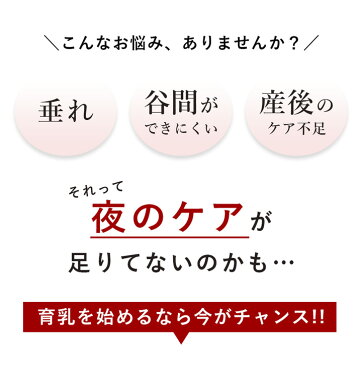 ナイトブラ 大きいサイズ 授乳ブラ 育乳ブラ マタニティ ブラ ノンワイヤーブラ ブラジャー ノンワイヤー マタニティブラ ゆったり 楽 苦しくない しめつけない リラックス《育乳ナイトブラ Light》【ブラ単品】【tu-hacci】※注文殺到につきお一人様3点まで