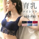 楽天市場人気商品