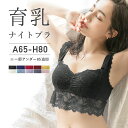 レビュー9,000件突破！ナイトブラ 育乳 授乳ブラ 育乳ブラ ブラジャー ノンワイヤー マタニティ ブラまるごと包むナイトブラ ラクシア ツーハッチ ナイトブラ 大きいサイズ かわいい 小胸 夜用 ブラ ホック Aカップ Fカップ Gカップ Hカップ【tu-hacci】