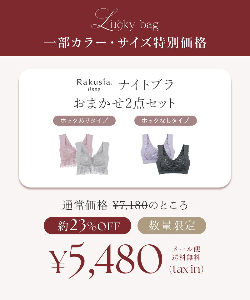 お得な福袋も♪2点で7,180円⇒5,480円福袋 美乳ナイトブラ ナイトブラ 昼夜兼用 ブラ...