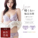 新発売!《Leene》マニョリアレースブラ&ショーツ グラマーサイズブラジャー 大きいサイズ レディース インナー 女性 らくちん 上品 ブラ&ショーツセット 補正ブラ 脇高 痛くない 谷間 脇肉 脇肉カバー 寄せ モールドブラ【tu-hacci】