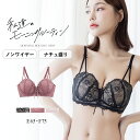 【最大20%OFFクーポン】新発売!《モーニングルーティンブラ》アリュールレースアップブラ【グラマーサイズ】ノンワイヤー ブラ ブラ単品 盛り 谷間 痛くない ワイヤーなし 盛れる インナー 女性 下着【tu-hacci】