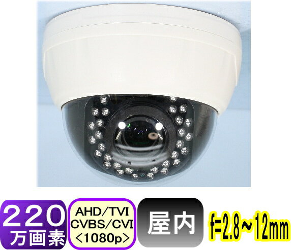 楽天市場】nss ドーム型 防犯カメラの通販