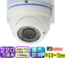防犯カメラ 監視 ドームカメラ屋外 屋内 玄関 家庭用 220万画素 高性能 セキュリティ カラー暗視 有線 車 防雨 屋外用 空き巣 威嚇 不審者 単品 自宅 事務所 倉庫マンション アパート駐車場犯罪 防止 LED 赤外線 店舗 天井 取付 【SA-51714】
