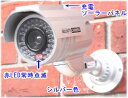 【SA-50556】ダミ−防犯カメラ(ソーラー充電式バッテリ...
