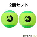 TopspinPro(トップスピンプロ) ボール(2個セット)