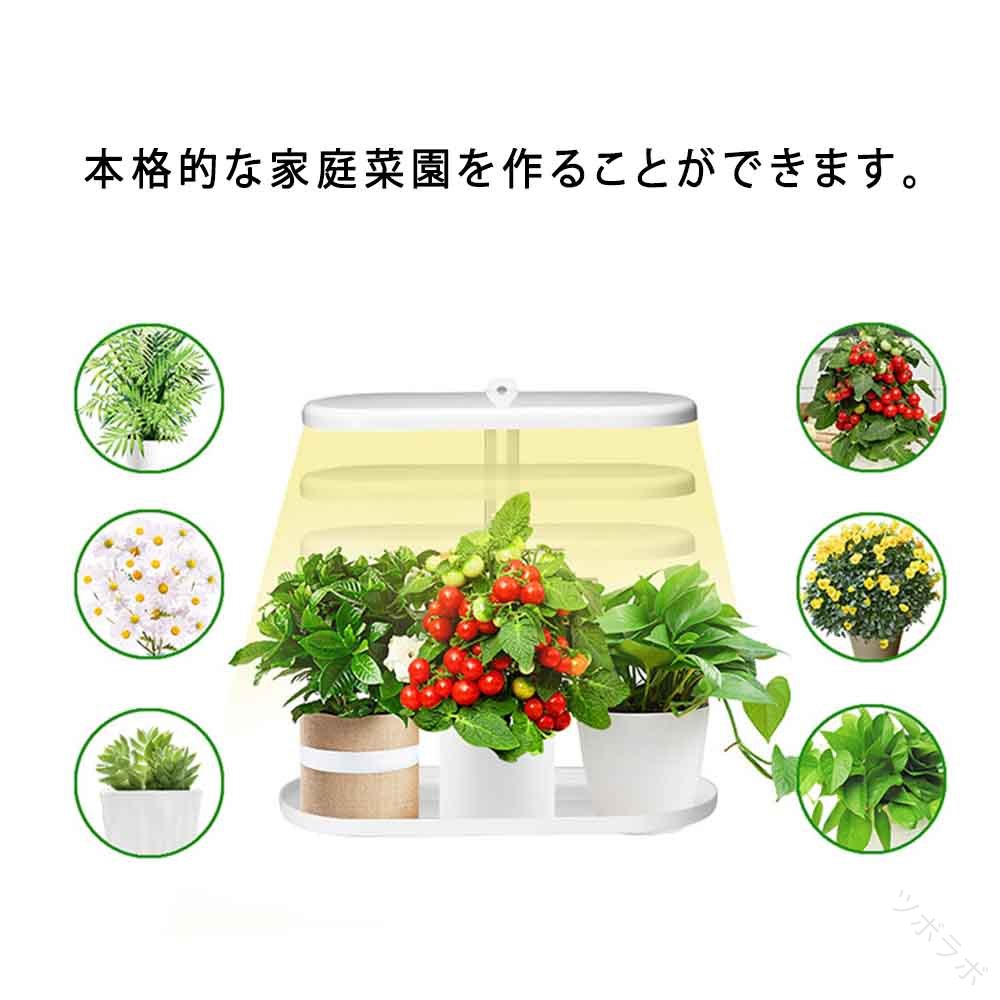 植物育成ライト 室内 LED 植物育成 観葉植物 多肉植物育成 育成ライト 植物 ライト 水耕栽培セット 梅..