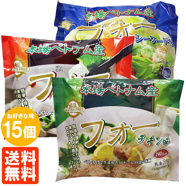 【15個セット・送料無料】インターフレッシュ ベトナム産 フォー 袋麺 60g×15個 インスタント