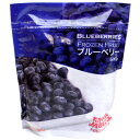 ヨーグルトやアサイーボールにオススメ！たっぷり大容量！トロピカルマリア　冷凍ブルーベリー 500g blueberries FROZEN FRUITフルーツ【冷凍便】