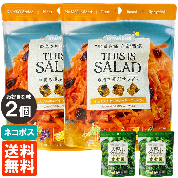 【2個セット・送料無料】THIS IS SALAD 80g×お好きな味2個 持ち運ぶサラダ 板グラノーラ ネコポス