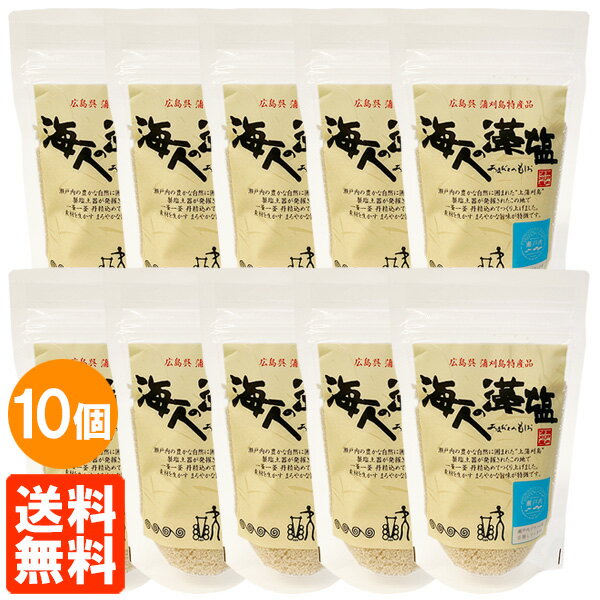 【10個セット・送料無料】海人の藻塩 100g スタンドパック ホンダワラ 海藻浸漬法藻塩 あまびとのもしお