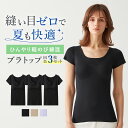 【まとめ買い割引】グンゼ 2分袖 パッド付 レディース 3枚組 春夏 完全無縫製 ひんやり 綿混 脇汗 汗ジミ 縫い目なし ブラトップ 半袖 肌着 シームレス カットオフ ひびきにくい 敏感肌 低刺激 洗濯タグ無し GUNZE キレイラボ KIREILABO M L LL KL7660R KL76ST3