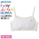 グンゼ ハーフトップブラ キッズ ガールズ 女の子 ジュニア 年間 肌着 下着 インナー 胸2重 綿100% 学校用 制服 小学生 中学生 はじめてのブラ 白 ホワイト かわいい ピエクレール PCF3370 PCF3375 PCF3380 PCF330EC 140 150 160