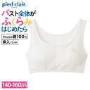 グンゼ ハーフトップブラ キッズ ガールズ 女の子 ジュニア 年間 肌着 下着 インナー 綿100% スクール 学校用 制服 小学生 中学生 はじめてのブラ 白 ホワイト かわいい ピエクレール PDF9370 PDF9375 PDF9380 PDF930EC 140 150 160