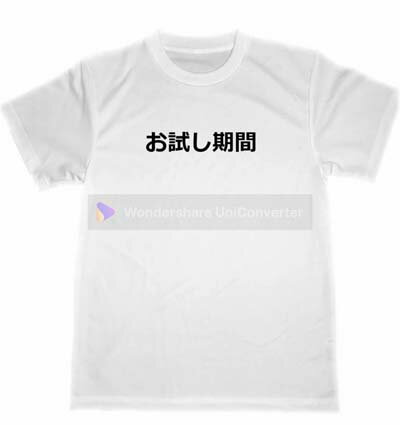 お試し期間　ドライ　Tシャツ　面白　お笑い　グッズ　試用期間　新人　宴会　忘年会　研修中　居酒屋　BAR　アルバイト