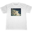 ウィリアム ブレイク ドライ Tシャツ 名画 絵画 アート グッズ William Blake ニュートン Newton