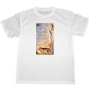 ウィリアム ブレイク ドライ Tシャツ 名画 絵画 アート グッズ William Blake 虎 tiger