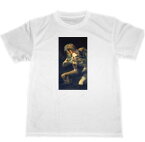 フランシスコ・デ・ゴヤ　ドライ　Tシャツ　名画　絵画　アート　グッズ　ゴヤ　Goya　我が子を食らうサトゥルヌス