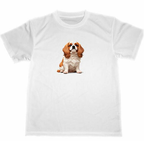 LoA@hC@TVc@ybg@CXg@ObY@@Cavalier dog dry T-shirt