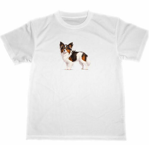 パピヨン　ドライ　Tシャツ　ペット　グッズ　イラスト　犬　Papillon　dog dry T-shirt