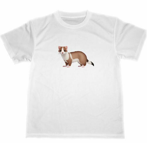 フェレット ドライ Tシャツ アニマル イラスト ペット グッズ
