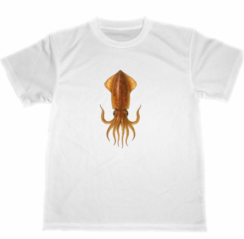 ドライ　Tシャツ　烏賊　イカ　2　グッズ　釣り　料理