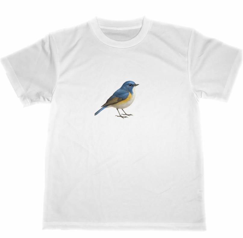 ドライ Tシャツ ルリビタキ 野鳥 バードウォッチング アニマル グッズ