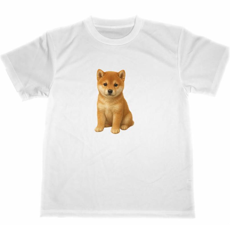 楽天市場】シーバ（Tシャツ・カットソー｜トップス）：メンズ