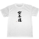 空手道　ドライ　Tシャツ　書道　グッズ　KARATE　KAN