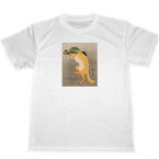 小原古邨　キツネ　狐　ドライ　Tシャツ　名画　絵画　グッズ　アニマル